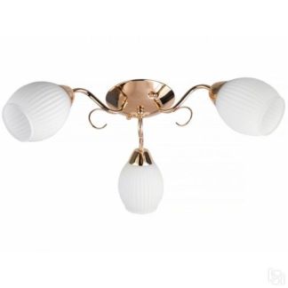 Потолочный Светильник Arte Lamp Florizel A3165Pl-2Bg Arte Lamp