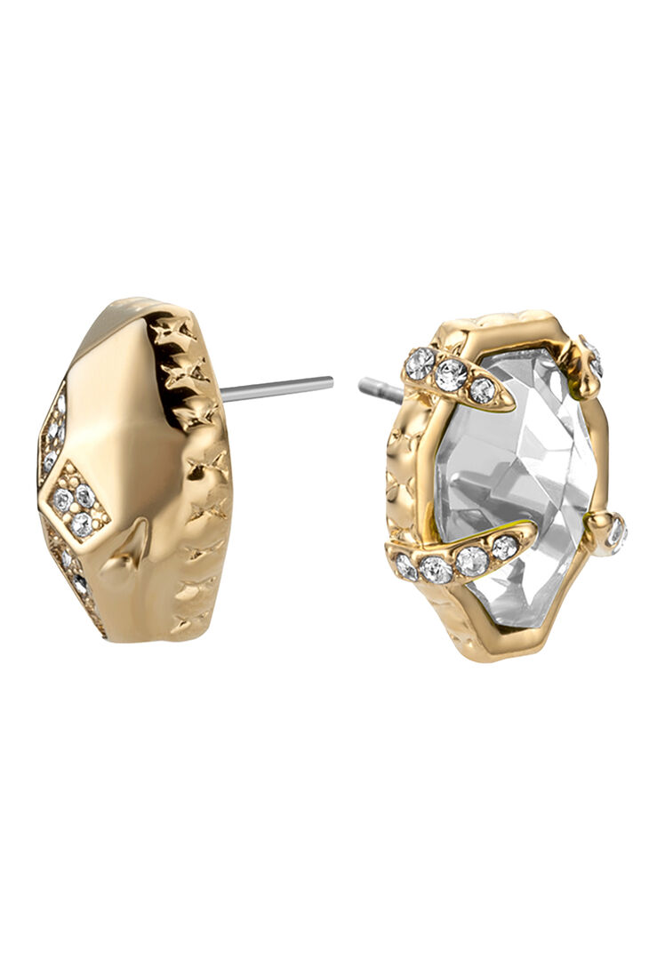 Серьги JUST CAVALLI 185422 фото 1