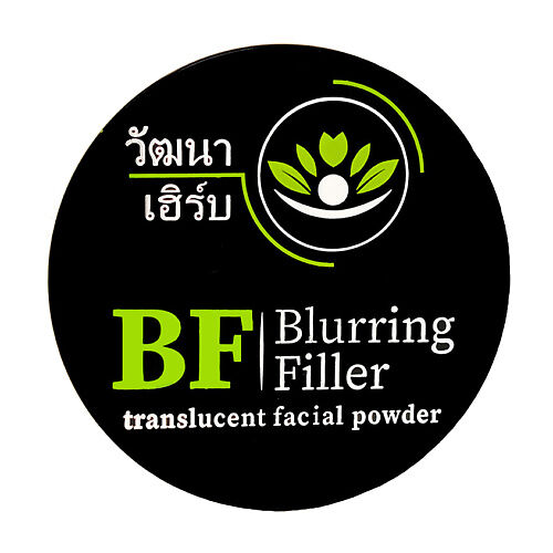 WATTANA HERB Матирующая компактная прозрачная пудра Blurring Filler 10.0 MPL312345 фото 1