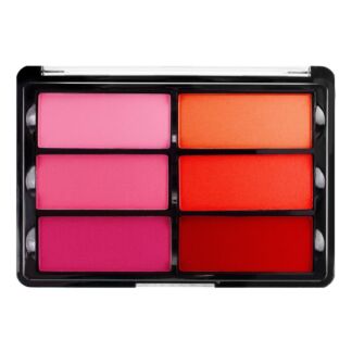 Pro Slim Rose Coral Палетка румян VISEART