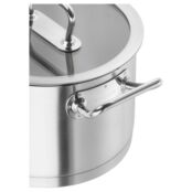 Zwilling Кастрюля с крышкой 24 см Pro Zwilling фото 2