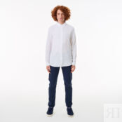 Мужская рубашка Lacoste фото 4