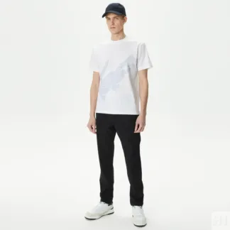 Мужские брюки Lacoste