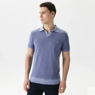 Мужское хлопковое поло Lacoste Regular Fit