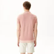 Мужское хлопковое поло Lacoste Regular Fit фото 2