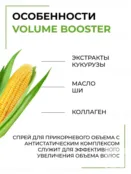 Спрей для объема волос Epica Professional Volume Booster, 200 мл 91267 фото 3