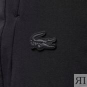 Мужские брюки Lacoste фото 4
