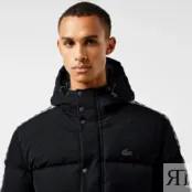 Мужская куртка Lacoste фото 3